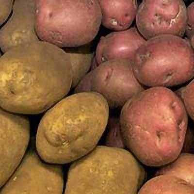 Image of red potatoes, and potatoes.