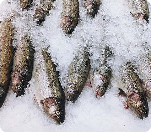 Freezer Space For