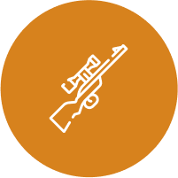Firearms