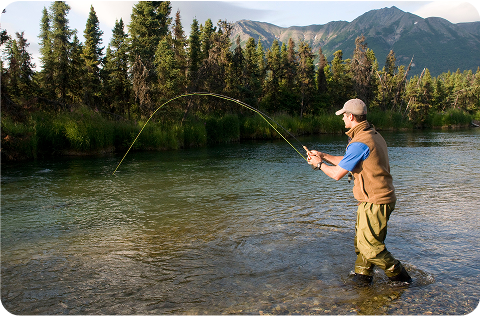 Rods Reels Tackle